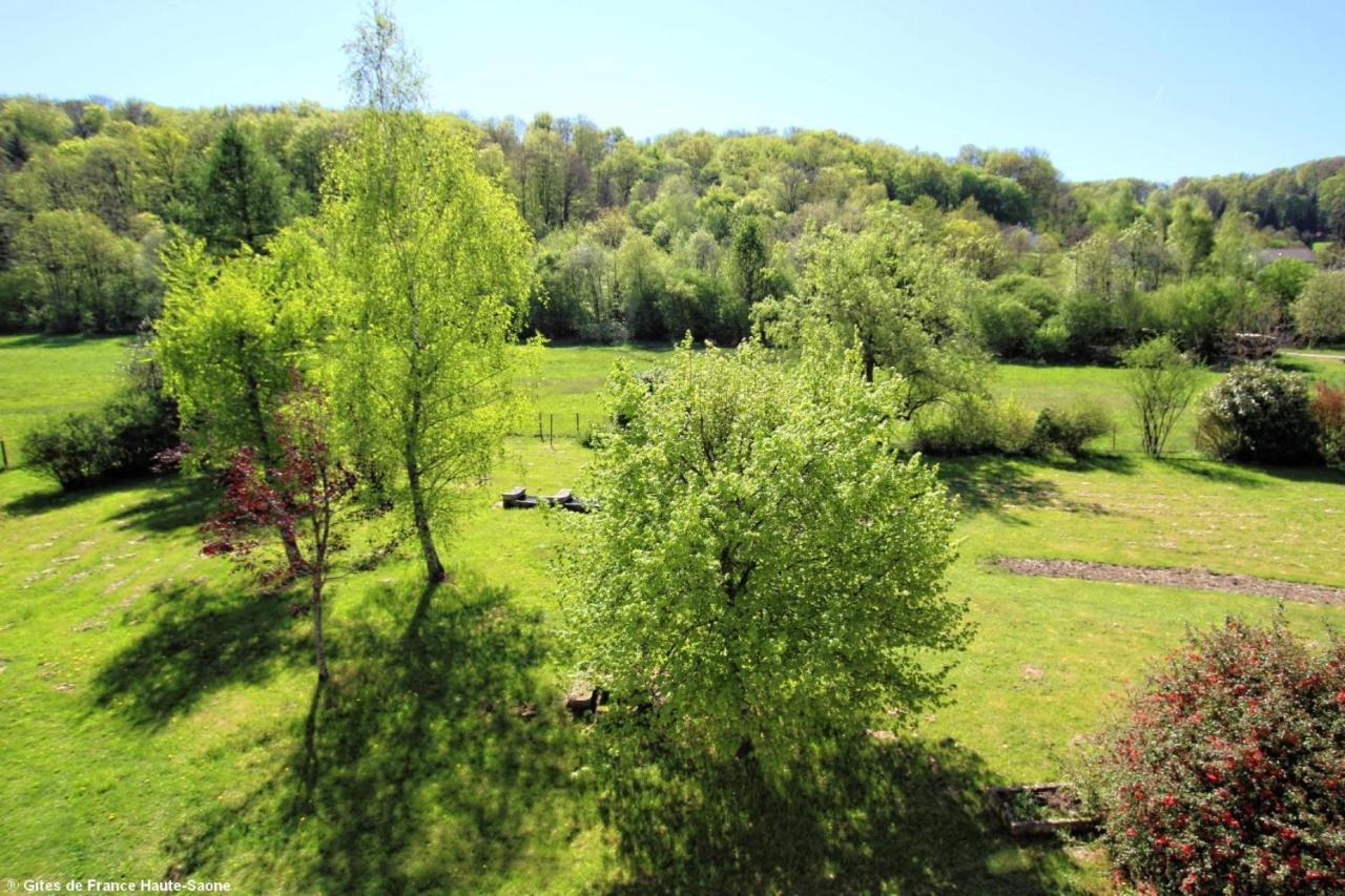 Au Fil Du Temps Bed & Breakfast Fougerolles-Saint-Valbert Екстериор снимка